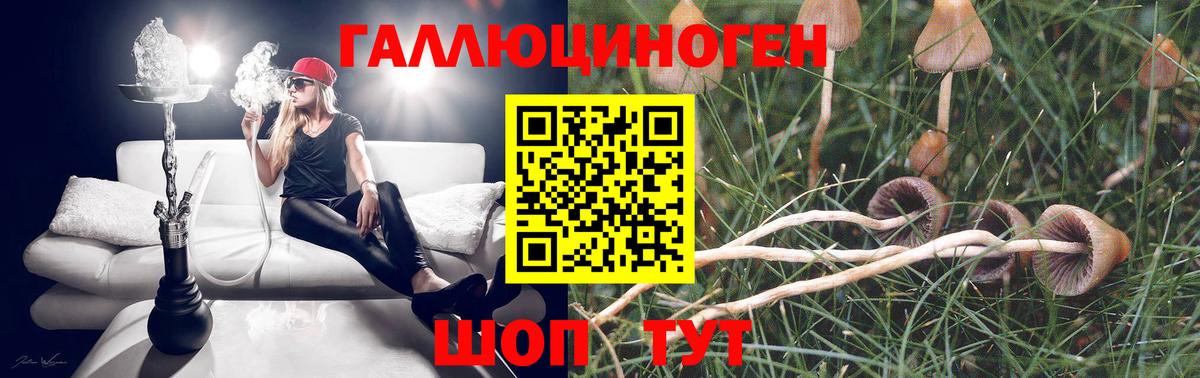 Псилоцибиновые грибы Cubensis  Галлюциногенные грибы Psilocybine cubensis  Вход с VPN  Краснодар 